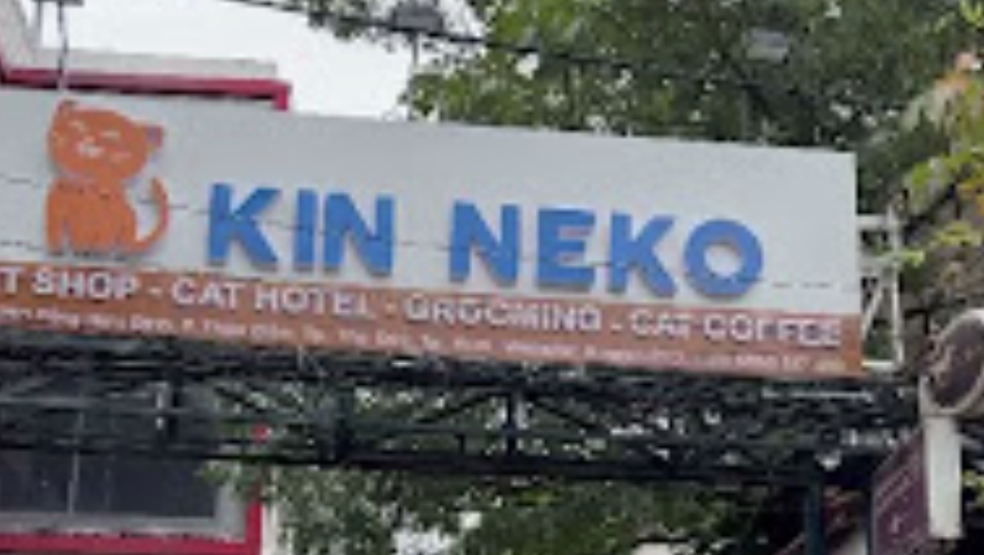 Kin Neko - Grooming and Cat Hotel