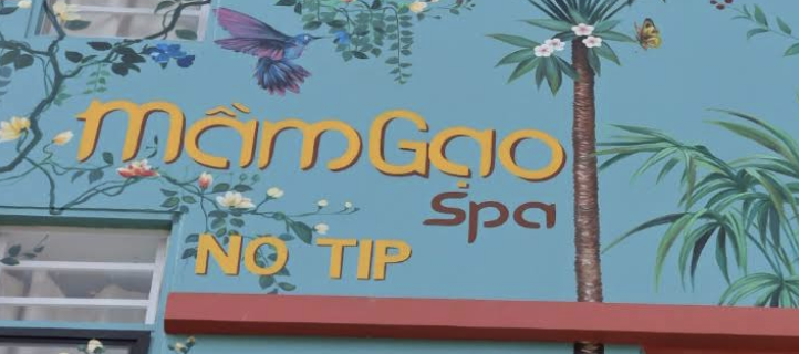 Mầm Gạo Spa - Thảo Điền
